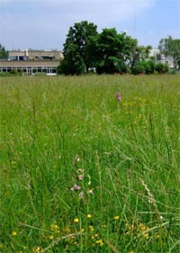 biodiversité d'un site industriel - D.R.