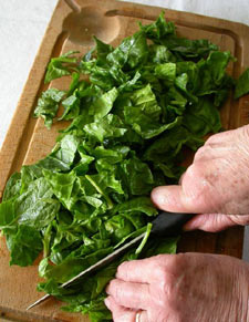 Découpe des feuilles d'épinards