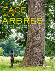 Face aux arbres Face aux arbres