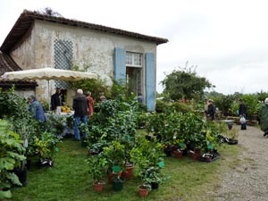 Vente expo plantes de Gaujacq