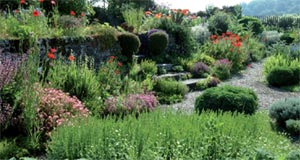 Jardin de Castillon-Plantbessin