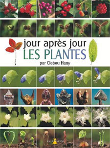 Jour après jour les plantes