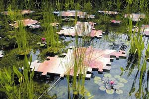 jouer au jardin