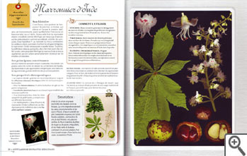 Petit Larousse des plantes médicinales