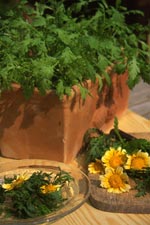 Salade Nagara