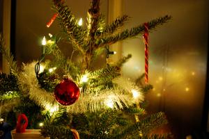 Un authentique sapin de Noël