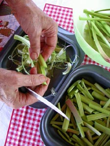 éplucher les rhubarbes