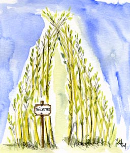 Toilettes sèches en osier vivant