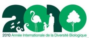 Logo de l'année internationale de la biodiversité
