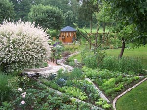 Potager d'Alexandra