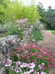 Allée de fleurs