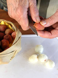Préparation des litchis