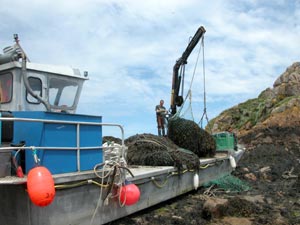 Bateau dont le filet est rempli d'algues