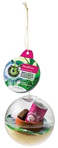 Boule à planter - passiflore