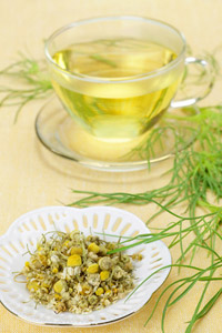 Tisane de camomille