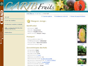 CaribFruits - D.R. CIRAD - http://caribfruits.cirad.fr/