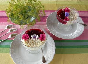 Le duo compote de prune et riz au lait
