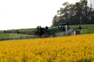 Epandage de pesticides dans un champ de colza