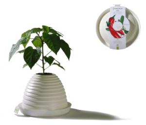 Graine de pot, version piment