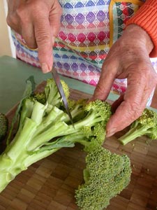 Ingrédients du gratin de brocolis