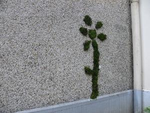 Tag en mousse guerilla gardening