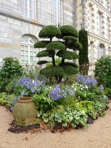 Les jardins agapanthe à saint Jean de Beauregard
