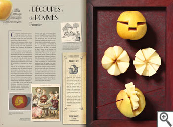 Jouets de Plantes