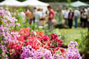 Journées des Plantes d'Albertas