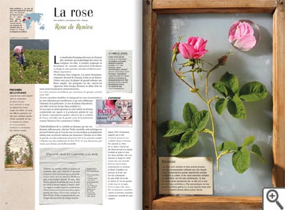 L'herbier parfumé