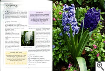 Le jardin parfumé