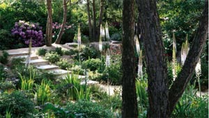 Les jardins agapanthe