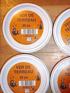 vers eisenia pour lombricompost