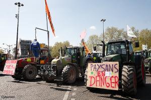 Manifestation de paysans en colère