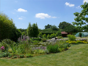 Bassin - D.R. Mon jardin, ma passion - http://www.monjardinmapassion.fr