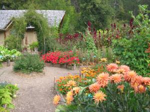 Cabane des jardiniers et dahlias