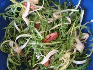 Salade de pissentit aux lardons