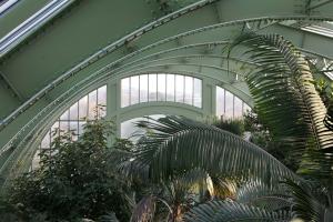 Serre du Jardin des Plantes de Paris