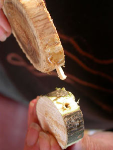 assemblage des morceaux (tête et corps)