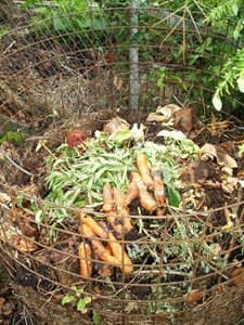 Tas de compost
