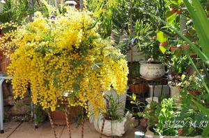Terrasse bien remplie