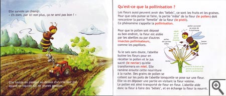 Alerte à la ruche