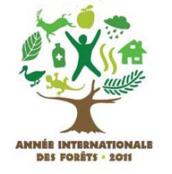 Année internationale de la forêt