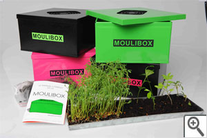 Moulibox