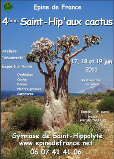 4e Saint Hip' aux cactus