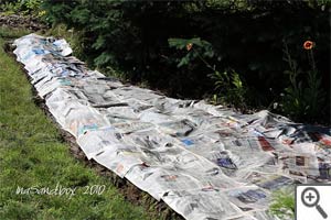 Préparatif d'un jardin en lasagnes