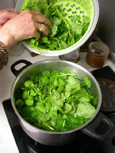 Cuisson du cresson