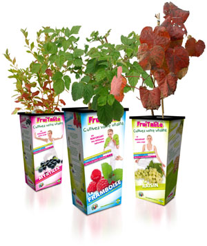 Fruitalité : packaging