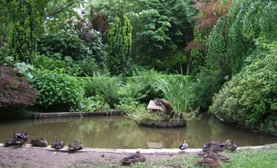 Jardin des songes
