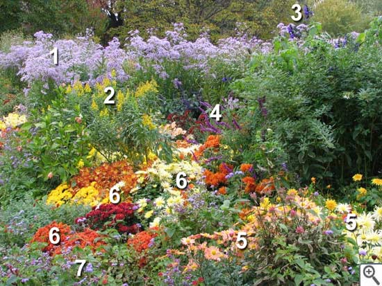 Massif d'automne opulent