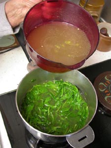 Bouillon